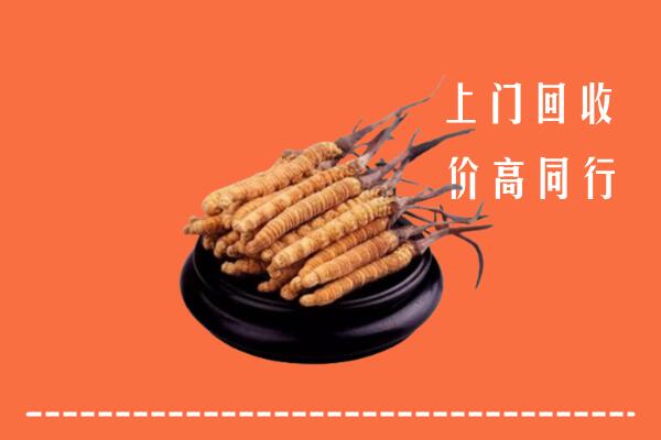 高价求购：厦门市集美回收散虫草