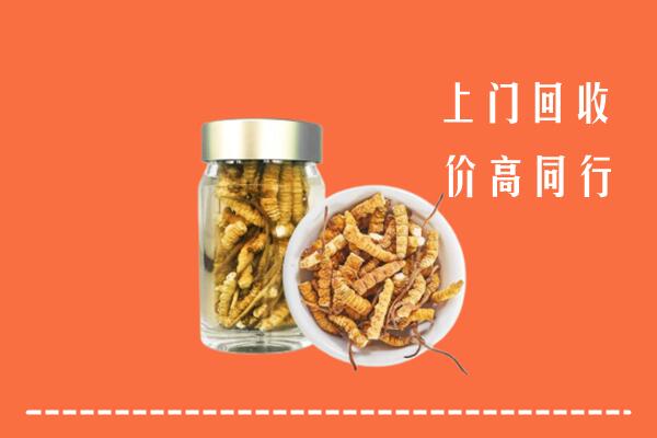 厦门市集美回收冬虫夏草