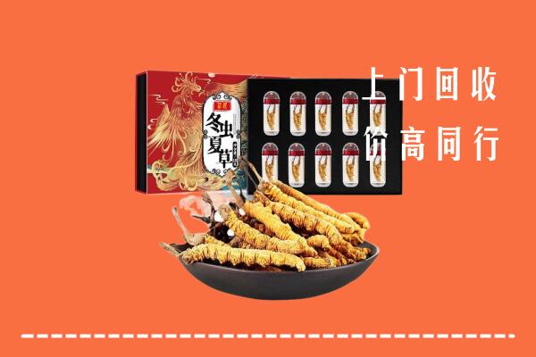 厦门市集美回收虫草